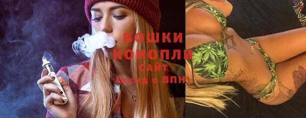 прущие грибы Бердск
