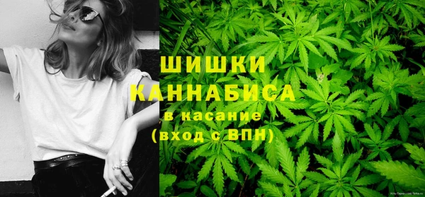 прущие грибы Бердск