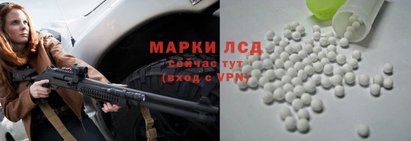 индика Липки