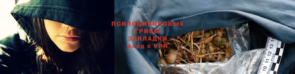 шишки Почеп