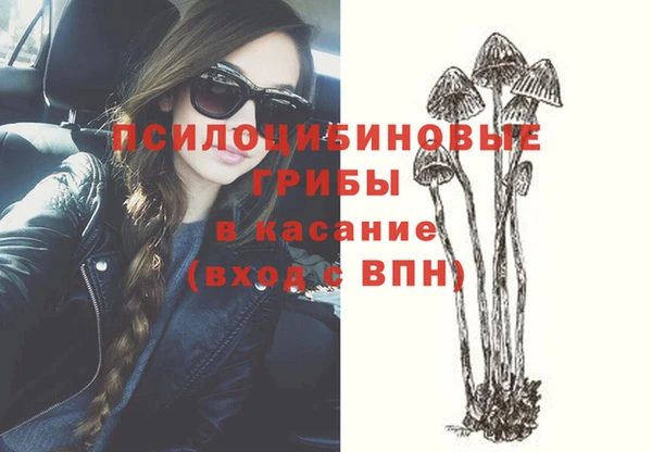 индика Липки