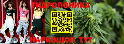 молекула духа Гусев