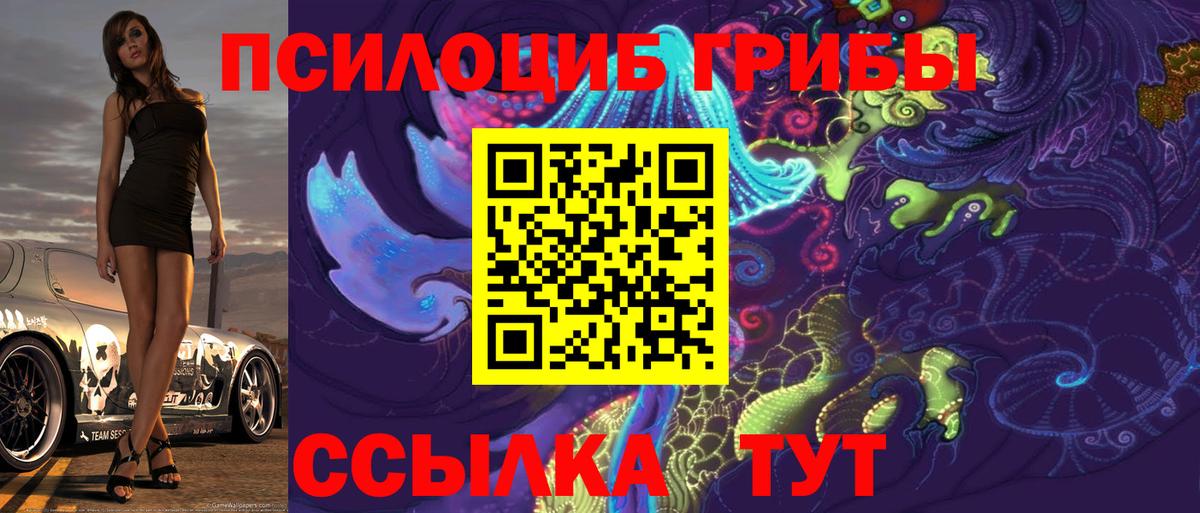 Псилоцибиновые грибы Psilocybine cubensis  Вход с VPN  Ялуторовск 